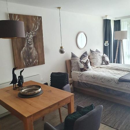 Maurers Schlierseetraum 6, Studio 455 Mit 42 Qm Neu Renoviert, Erdgeschoss Mit Eingezaeunter Terrasse In Ruhiger Lage Am Kirchbichlweg 8 Exterior foto