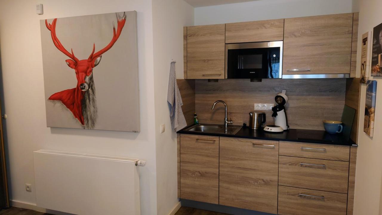 Maurers Schlierseetraum 6, Studio 455 Mit 42 Qm Neu Renoviert, Erdgeschoss Mit Eingezaeunter Terrasse In Ruhiger Lage Am Kirchbichlweg 8 Exterior foto