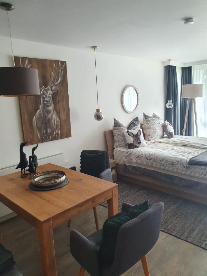Maurers Schlierseetraum 6, Studio 455 Mit 42 Qm Neu Renoviert, Erdgeschoss Mit Eingezaeunter Terrasse In Ruhiger Lage Am Kirchbichlweg 8 Exterior foto